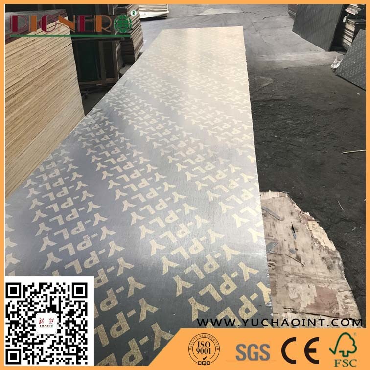 Fsc Certificate 625X2500mm WBP glue Marine Plywood