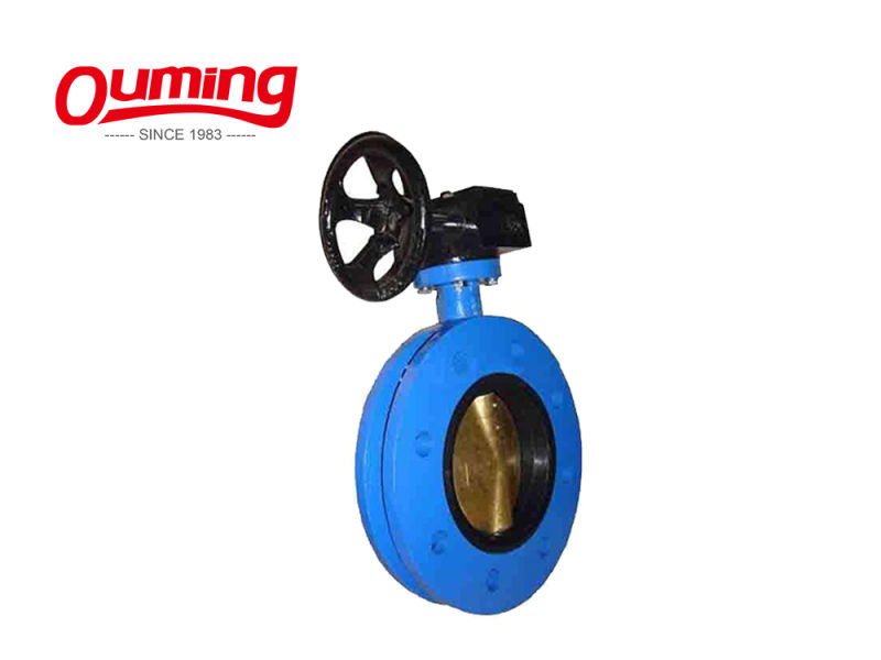 High Quality Epoxy Coating Cast Iron Luge Type Butterfly Valves