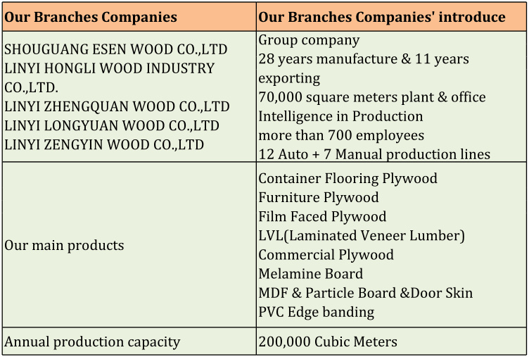 WBP Glue 28mm Black Film Faced Container Plywood Linyi Manufacturer