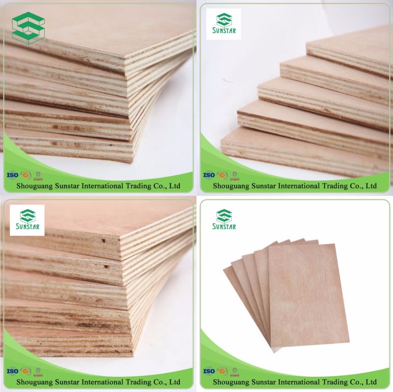 Film Faced Plywood/Marine Plywood WBP Glue (5mm/6mm/8mm/9mm/11mm/21mm)