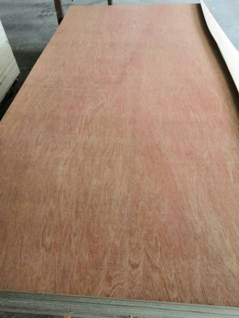 Maple Plywood with Red Wood Timber Sheet for Wall