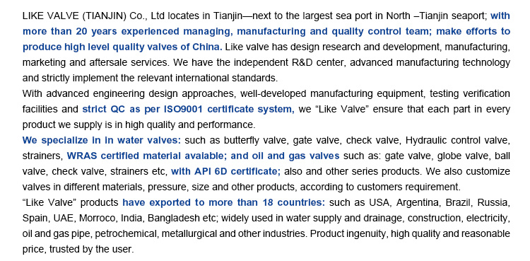 Industrial Pn10/Pn16 API 598 Stainless Steel Worm Gear Double Flange Butterfly Valve