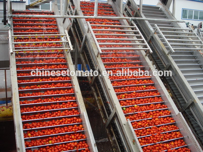 Sauce Tomate En Bo&icirc; Te Pour Usine Chinoise