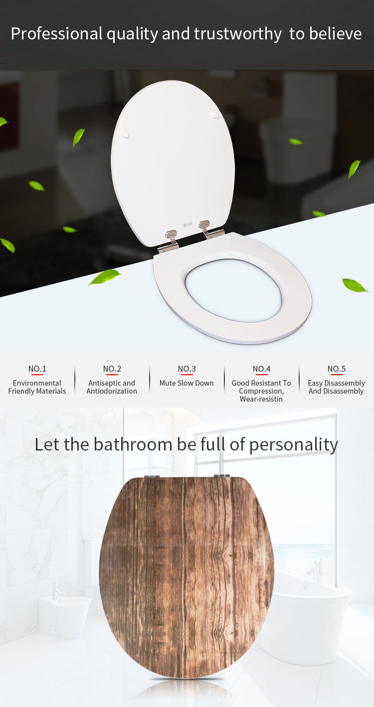 Unique Decorative Clear Polyresin&Acrylic Toilet Seats