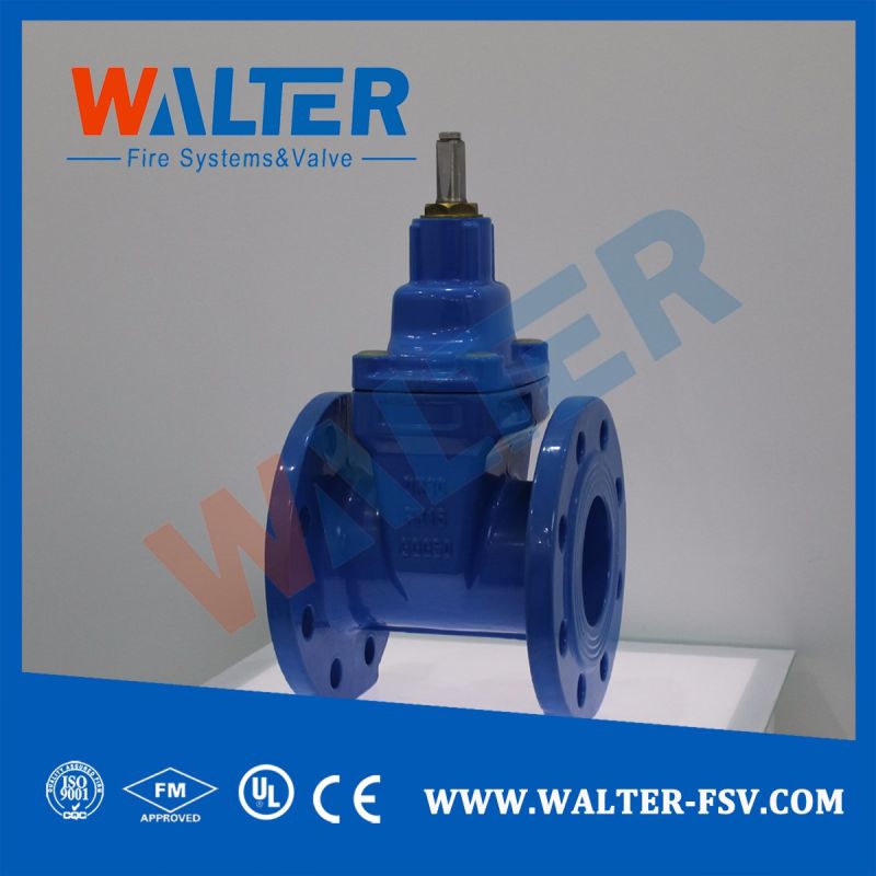 Cast Iron Soft Sealing Non-Rising Stem Gate Valve Pump