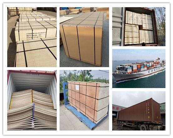 Waterproof Marine Plywood with WBP Phenolic Glue for Exterior Usages