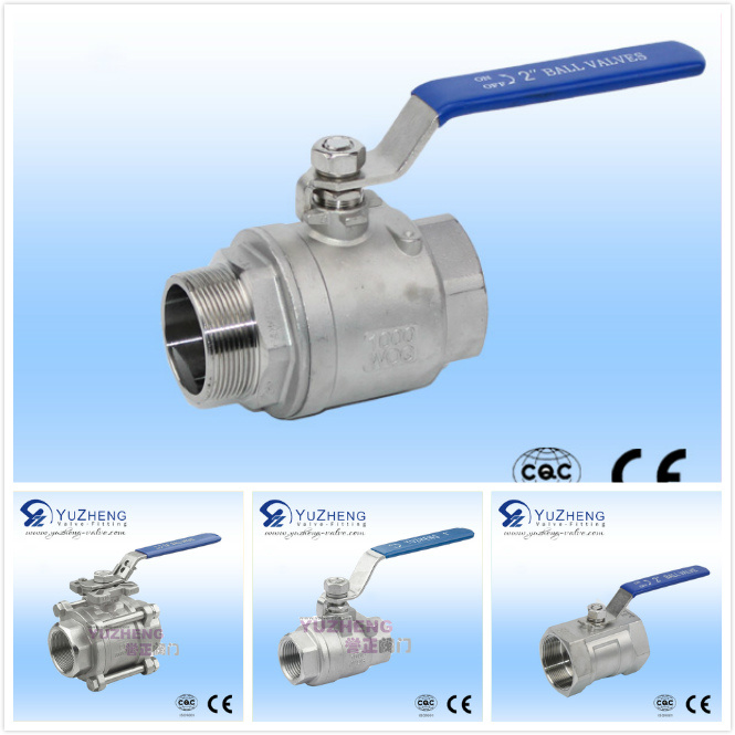 Stainless Steel 2 Piece Thread M/M Ball Valve