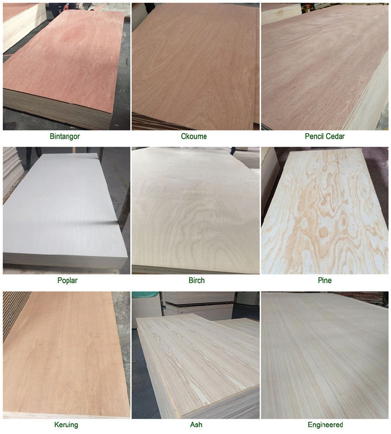 3-25mm E1/E0/Marine Glue Natural Wood Veneer Plywood for Furniture/Decoration