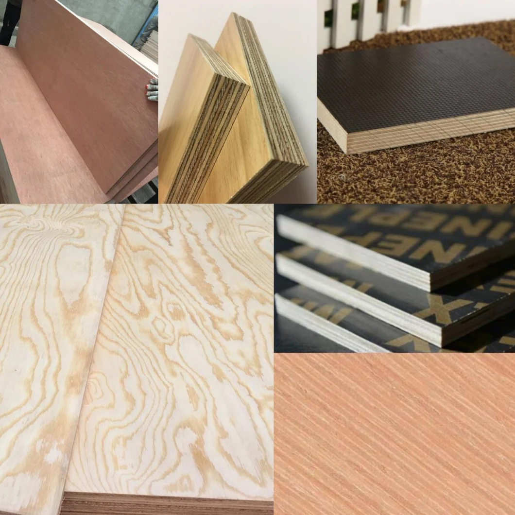 Melamine Glue Marine Grade Plywood for Furniture Price
