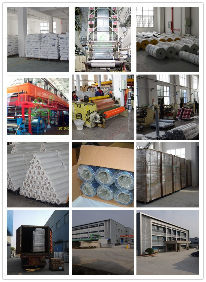 Glass Adhesive PE Protective Film Window Protective Film Wuxi China