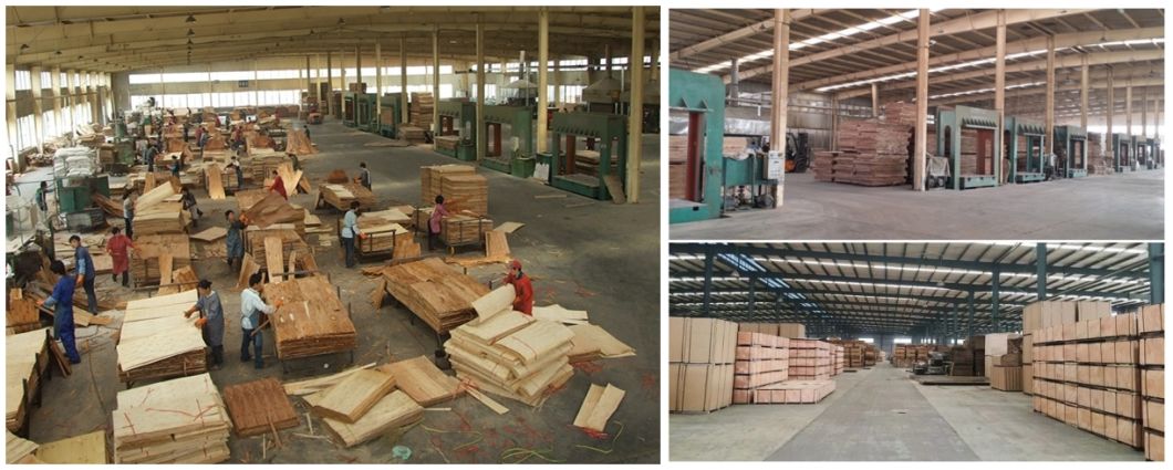 1220mm*2440mm Standard Size E0, E1, E2 Glue Natural&EV Fancy Plywood for Decoration