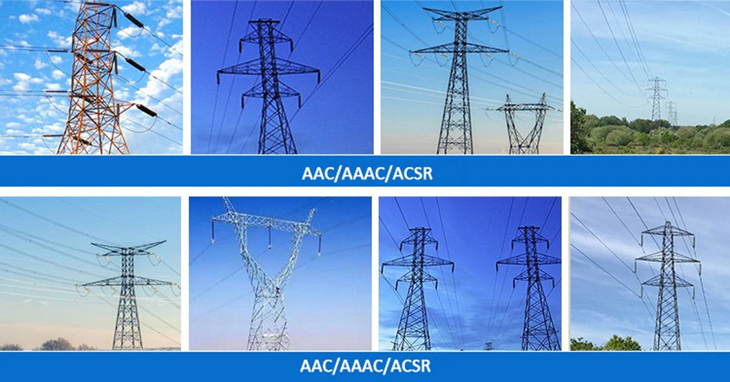 Factory Price 795 Mcm AAC/AAAC/ACSR Bare Conductor Cable and Wire