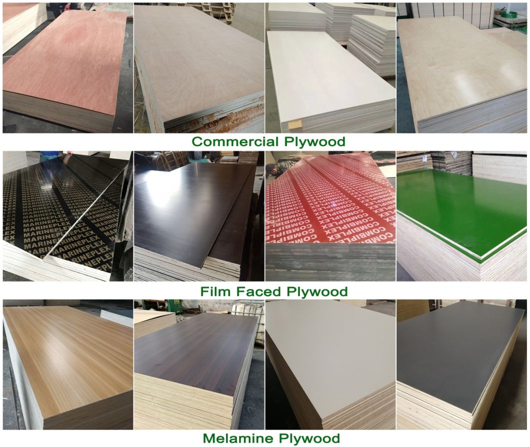 1220mm*2440mm Standard Size E0, E1, E2 Glue Natural&EV Fancy Plywood for Decoration