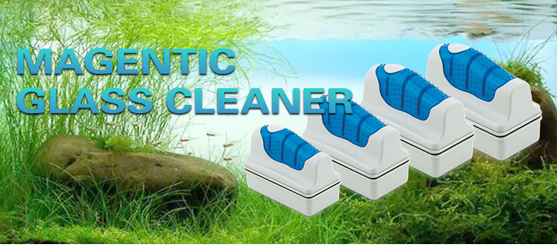 Clean Brush Scraper-4 Sizes Available for Aquariums