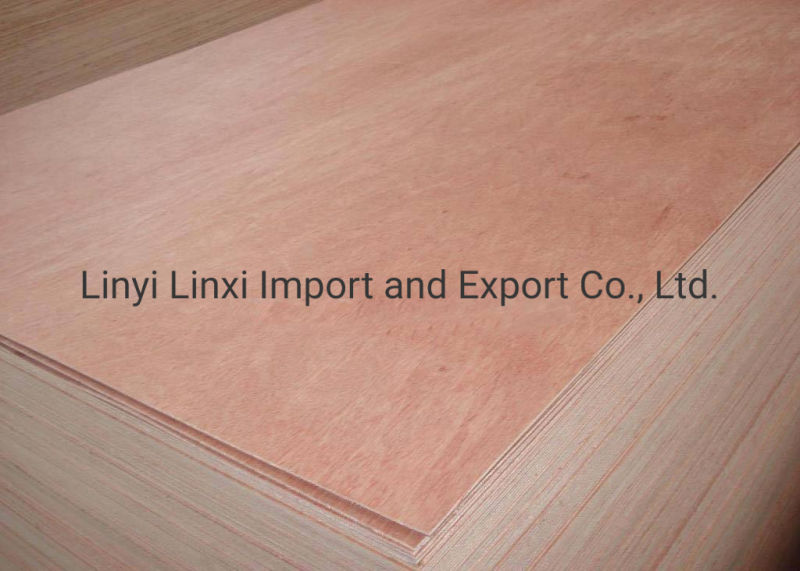 E0/E1 Glue Furniture Grade Okoume Plywood with Competitive Price