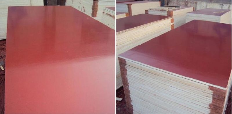 18mm Phenolic Glue Film Faced Plywood for Concrete