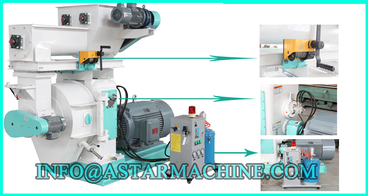 Big Capacity Vertical Flat Die Pellet Mill for Sale