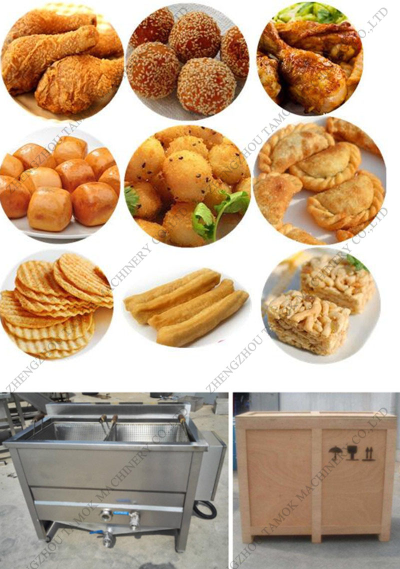 Stainless Steel Frying Machine French Fries Fryer Snack Food Fryer