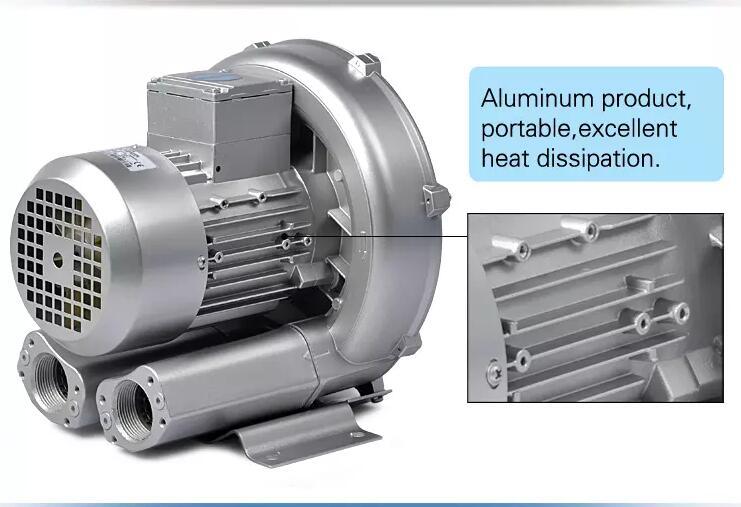 Factory Supply High Pressure Power Vortex Air Pump