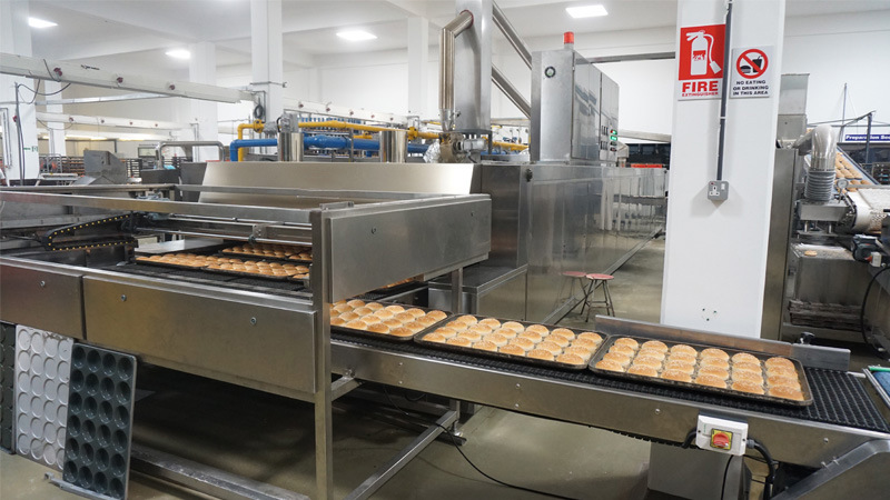 Automation Lines Diesel Bakery Gas Fired Oven for Cookies Bread