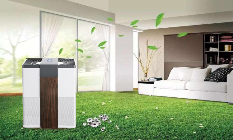Household Minitype Air Cleaner/Air Purifier