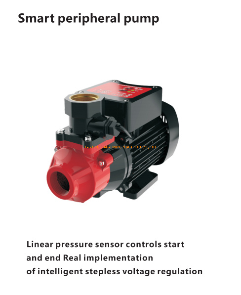 Smart Intelligent Qb60 Booster Hot Water Pump