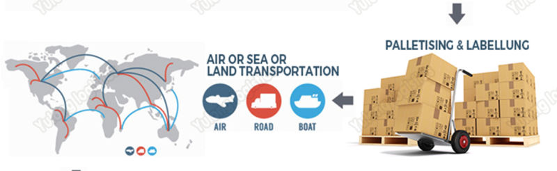 Professional Air Shipping Service From China to Worldwide