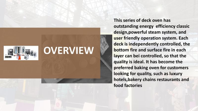 4trays Luxurious Baking Convection Oven for Bakery