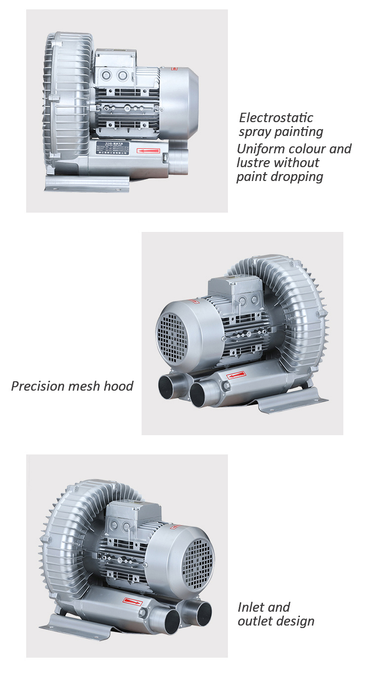 High Capacity High Pressure 1.3kw Double Impeller Air Blower