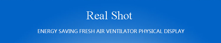 Wholesale Price with Purify Function Air Ventilation