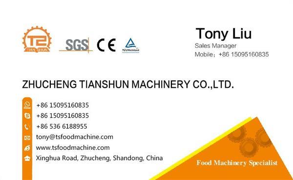 Food Processing Stainless Steel Deep Frying Machine/Fryer