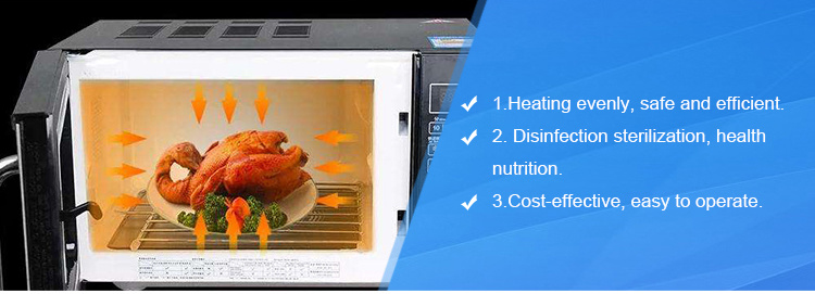 20L Built in Portable Microwave Oven Pizza Oven Convection Oven