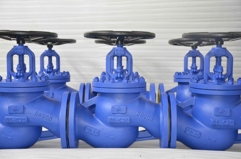 DIN / ANSI Standard Flanged Bellow Seal Gate Valve/ Bellow Seal Globe Valve / Swing Check Valve / Y Strainer