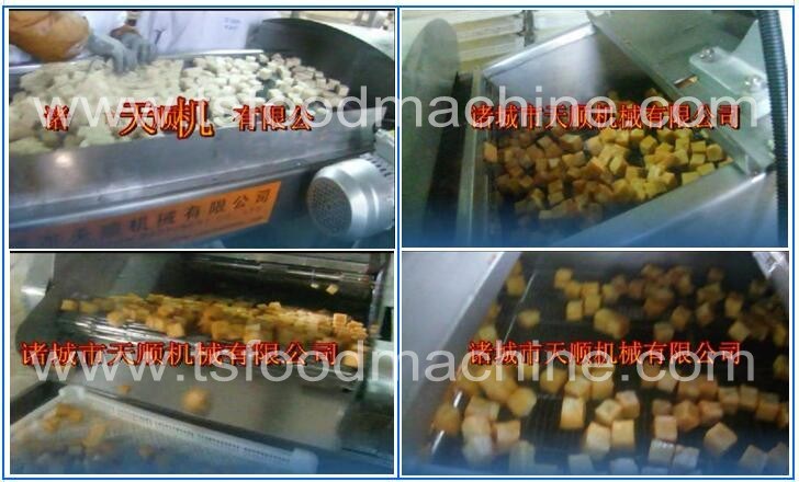 Coal Heated Conveyor Continuous Fried Food Fryer Machine