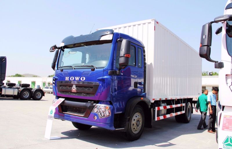 China 4X2 Light Van Cargo Truck, 6wheeler HOWO Mini Truck for Sale