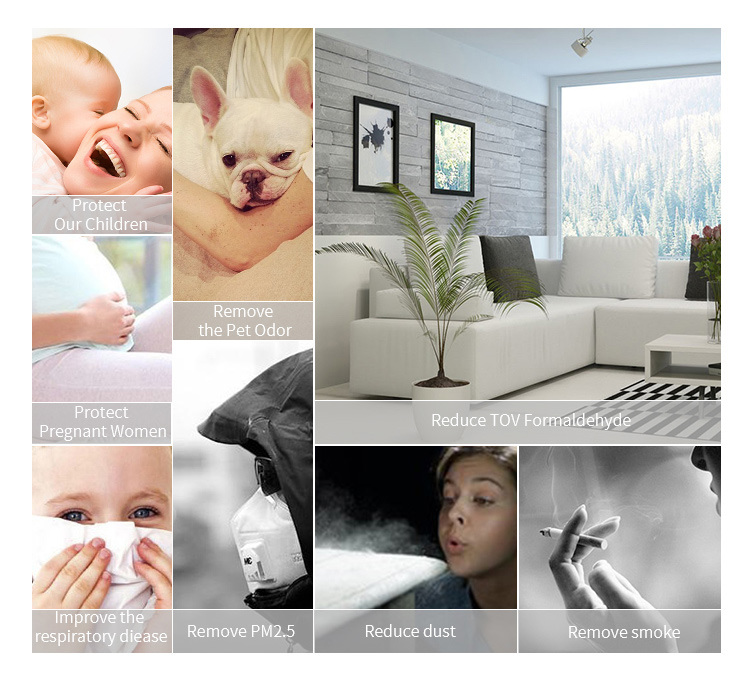 Hot Sale Pm2.5 Air Cleaner, Air Purifier Wholesale From China