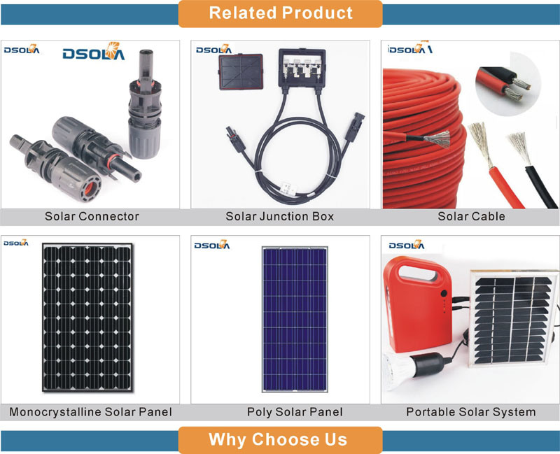 Dsola Factory Direct Sale Professional Standard 1kw Solar Panel System