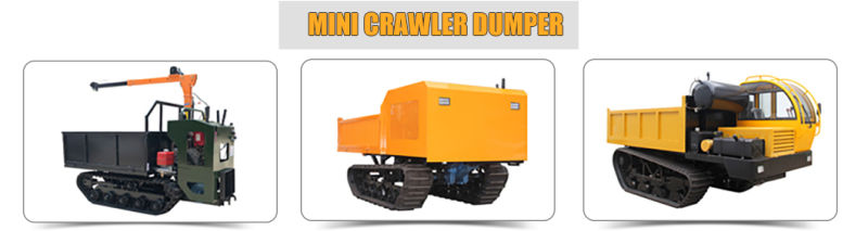 High Rate of Return HOWO Dump Truck 2015 Used Dump Truck Price Philippines