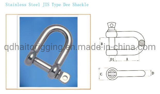Precision Forged AISI304/316 Sunk Pin Dee Shackle with Large Sale Profit