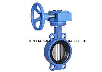 Stainless Steel Quick Coupling and Clamped Butterfly Valves