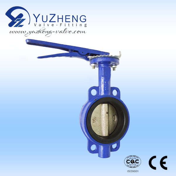 Stainless Steel Quick Coupling and Clamped Butterfly Valves