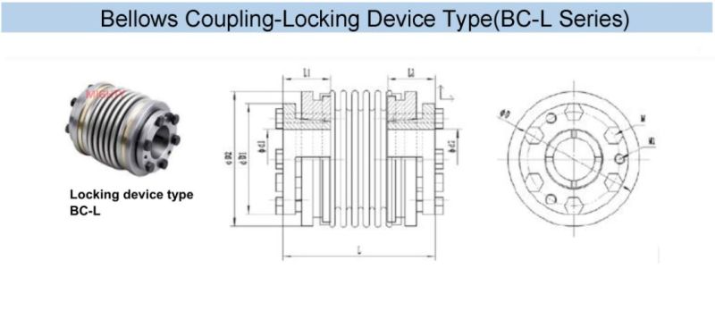 Cheap Metal Bellow Couplings-Locking Device Type/Bc-L Series