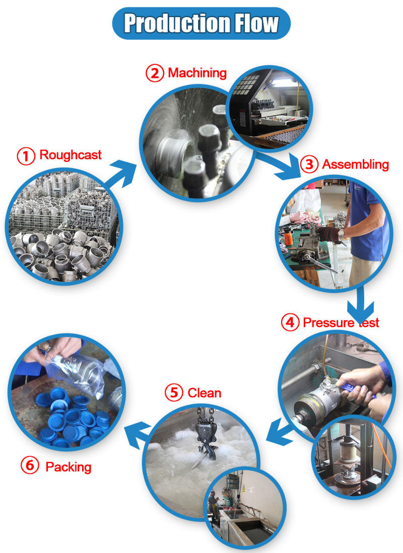 Stainless Steel Quick Coupling and Clamped Butterfly Valves