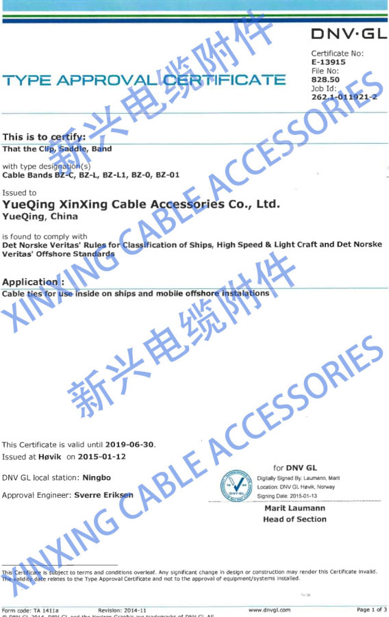 Stainless Steel Cable Zip Ties Long for Exhaust Pipe Header Free Sample