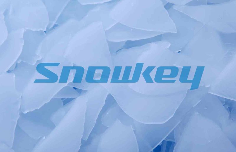 Snowkey High Quality 25t Flake Ice Maker Machine China Manufacturer