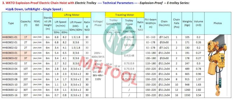 China Wkto 10ton Anti-Explosive Electric Lifting Chain Hoist with Clutch for Crane 60ton