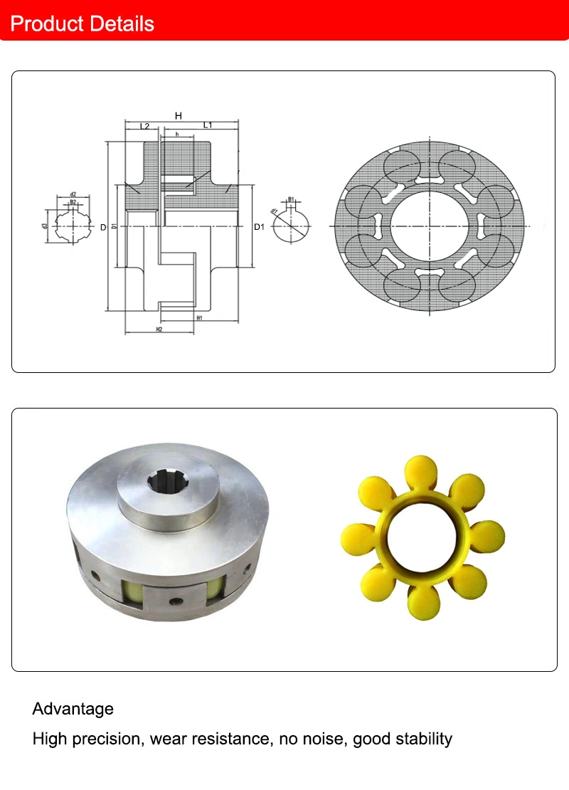 Professional Supplier Flexible Coupling for Construction Elevator