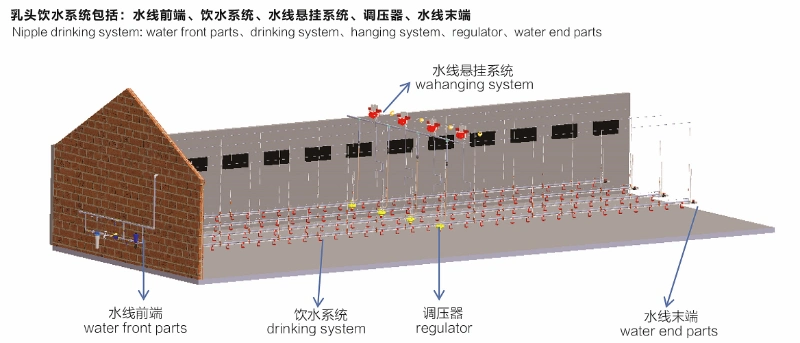 Chicken Nipple Drinking Line Poultry Water Nipple Drinker