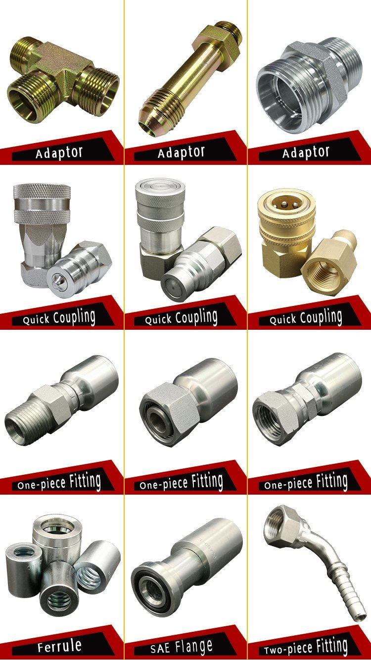 5000psi High Pressure NPT Stainless Steel Quick Coupling