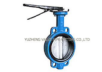 Stainless Steel Quick Coupling and Clamped Butterfly Valves